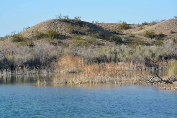 Lake Havasu National Wildlife Refuge Colorado River Mohave County Arizona — Stockfoto