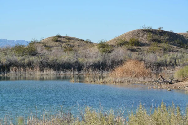 Refugio Nacional Vida Silvestre Lago Havasu Río Colorado Condado Mohave — Foto de Stock