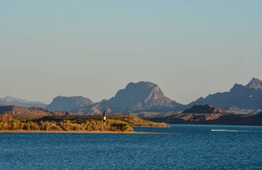 Mohave County, Arizona Usa 'daki Colorado Nehri üzerindeki Havasu Gölü Ulusal Vahşi Yaşam Sığınağı
