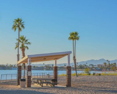 Bir gölgelik altında barbekü ve piknik masası ve Rotary Community Park 'ta palmiye ağaçları, Havasu Gölü, Mohave County, Arizona Usa