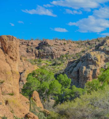 Boyce Thompson Botanik Bahçesi 'nden güzel manzara Magma Tepesi Eyalet Parkı, Yüksek, Arizona Usa