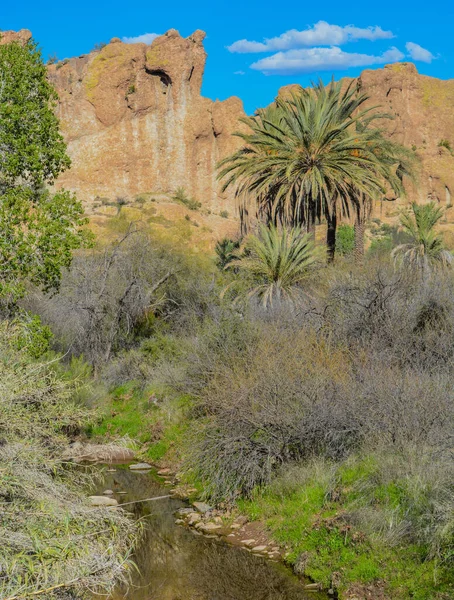 Stream Running Boyce Thompson Arboretum State Park Superior Arizona Usa — Stock Photo, Image