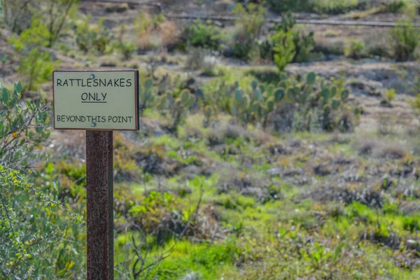 Rattlesnakes Only Beed Point Sign Boyce Thompson Arboretum State Park — стоковое фото