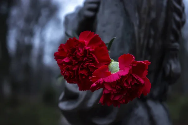 Piękne czerwone kwiaty na pomnik — Zdjęcie stockowe