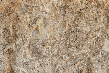 Bastırılmış tahta arkaplanı kapat, yönlü ipliğin pürüzsüz dokusu.