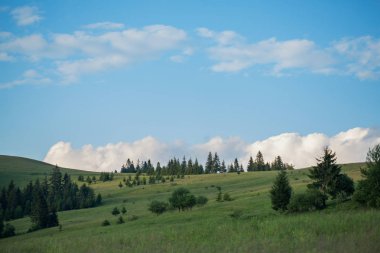 Yeşil çayır ve dağ ile güzel doğa manzarası