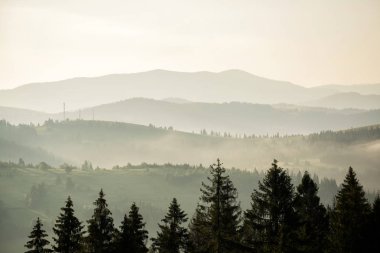 Güzel sabah sis dağlar arasında