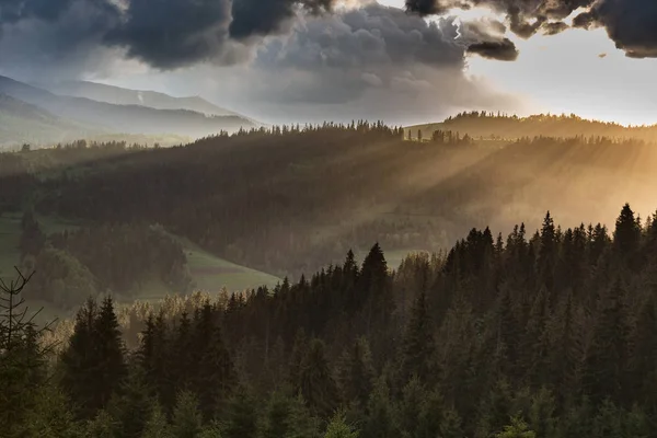 Fırtına bulutları dağ ve orman