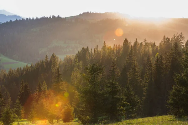 Ray, gün batımı siste parlayan güneş ışığı
