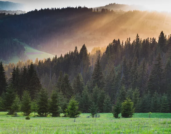 Rayon de soleil au coucher du soleil brille à travers le brouillard — Photo