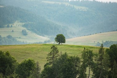 Bulutlu havalarda güzel dağ manzarası