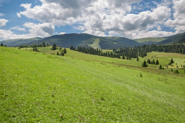 Hermoso paisaje natural con prado verde y cordillera — Foto de Stock