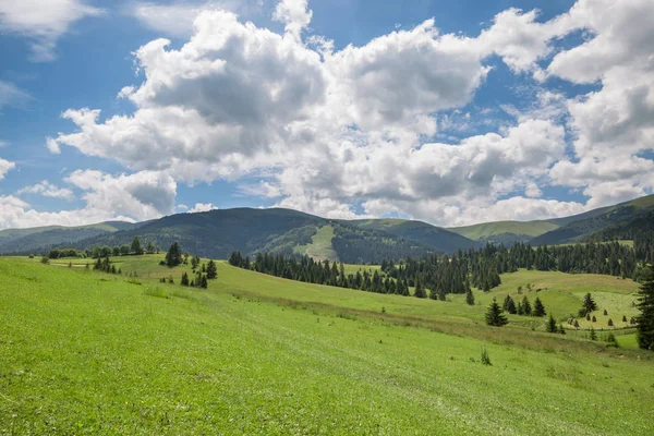 Hermoso paisaje natural con prado verde y cordillera — Foto de Stock