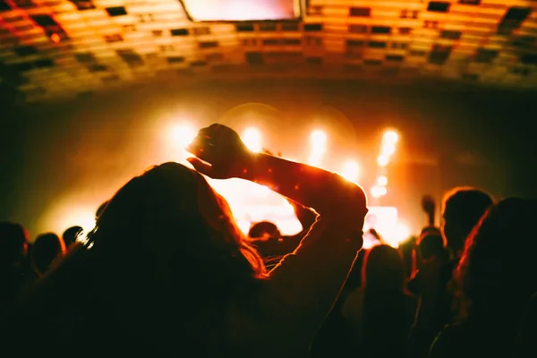 Silhouette des Publikums bei einem Rockkonzert. — Stockfoto