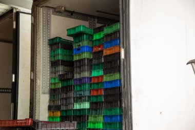 Kamyon yükleniyor. Olgun böğürtlenli plastik kutular buzdolabına yükleniyor. Aktarım.