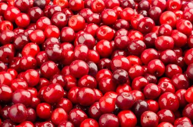 Donmuş taze ekşi kiraz. Yemek arkaplanı. Üst görünüm.