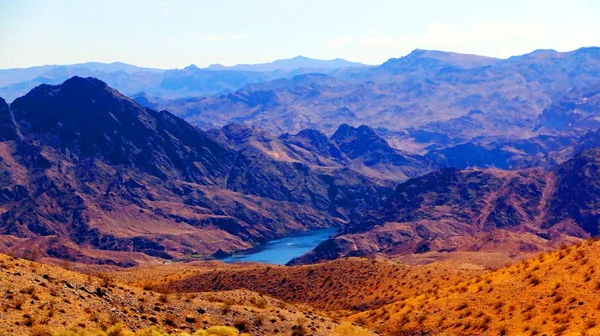 Arizona yazında çöl manzarası