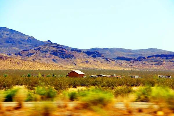 Arizona yazında çöl manzarası