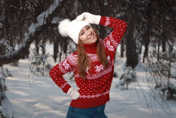 Зимовий Зовнішній Портрет Милої Позитивної Молодої Дівчини Яка Посміхається Розважається — стокове фото