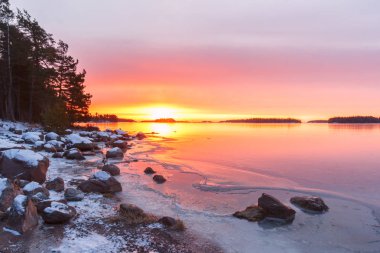 Helsinki, Finlandiya, sabah kış manzara