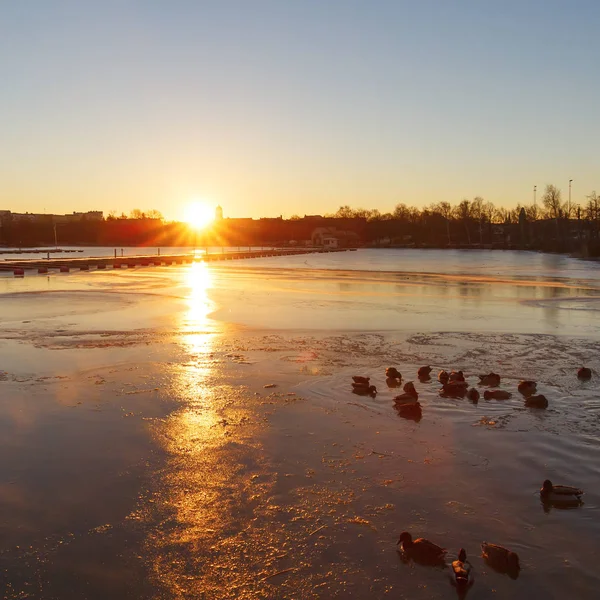 Sunrise on the lake in Helsinki, Finland — Stock Photo, Image