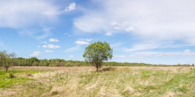 Sahada yaz güneşli bir günde görüntülemek