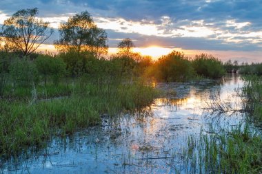 Günbatımında Gölü Zevlo Pskov bölgesi yakınındaki küçük bir dere