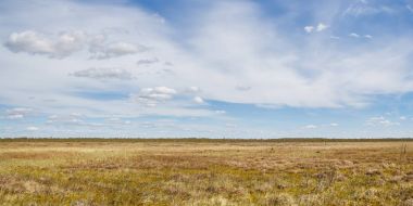 Doğal açık alan Polistovya, Pskov bölgesi