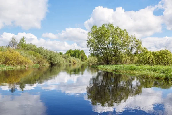 Árbol en la orilla del río Polist con reflejo en el wate — Foto de Stock