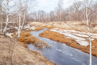 Forest river in spring flood clipart