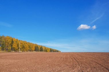 Alan kış bitkileri için