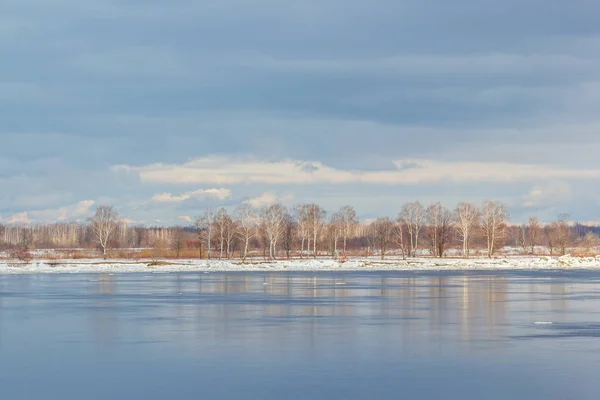 Árboles en el río Volga en primavera — Foto de Stock