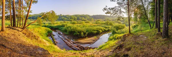Ráno na řece Vetluga Nižněnovgorodské oblasti — Stock fotografie