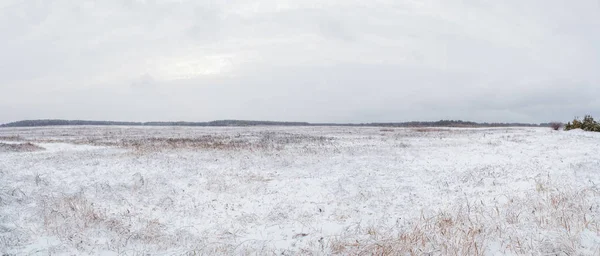 Field covered with snow — Stock Photo, Image