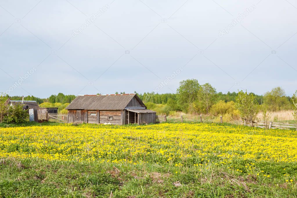 A shed in a vegetable garden in a summer village