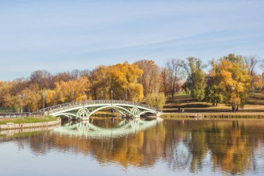 Şehir Parkı Tsaritsyno Moskova'da bir su birikintisi üzerinde köprü