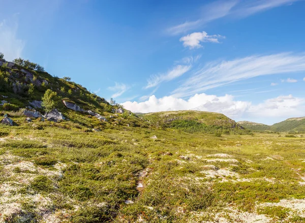 Hills in the mountain tundra in the north of Russia