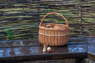 Sepet ve tezgah üzerinde iki beyaz mantar