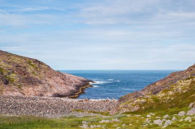 Yaz aylarında Barents Denizi'nin kıyısında