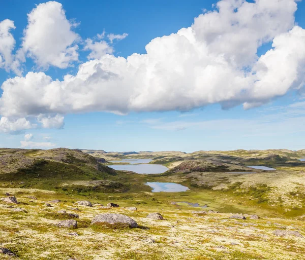 Dağ tundra göllerde sistemi