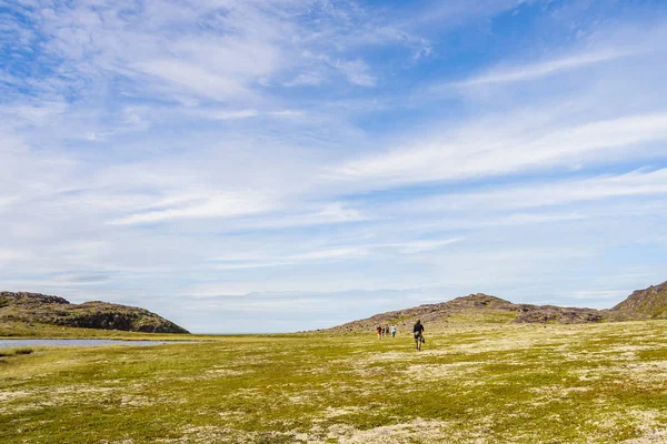 Kuzey Buz Denizi sahile gidiyor