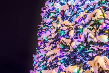 Karda dekore edilmiş Noel ağacı parçası