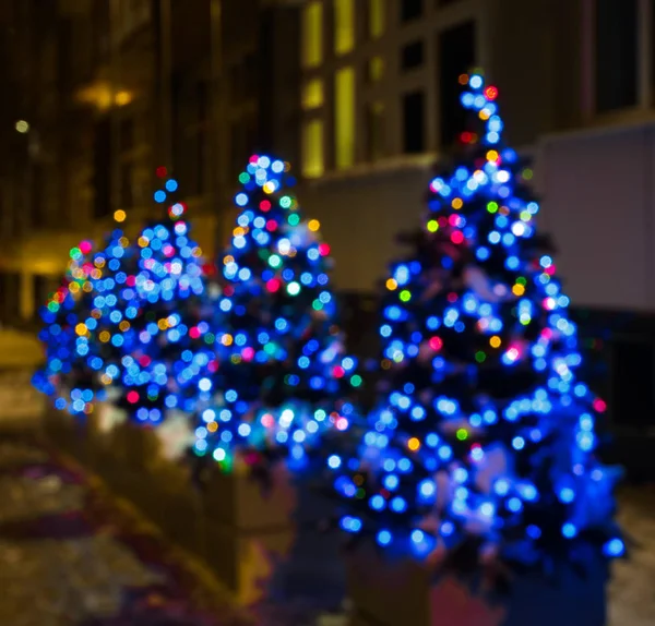 Árvores de Natal decoradas na rua — Fotografia de Stock