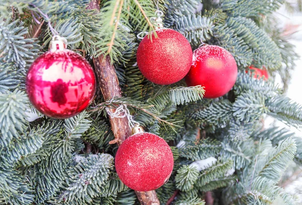 Rote Kugeln auf einem Zweig eines Weihnachtsbaums — Stockfoto
