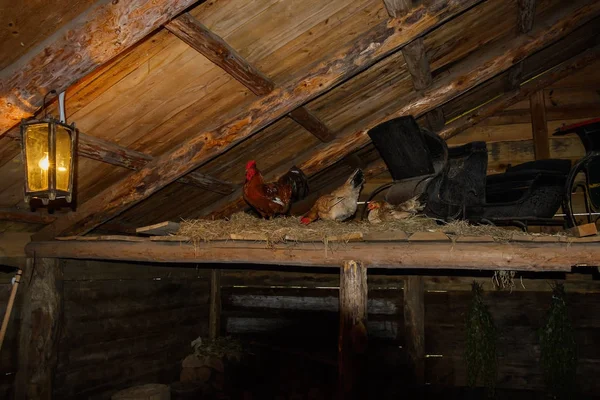O interior do galinheiro no museu de arquitetura de madeira e — Fotografia de Stock