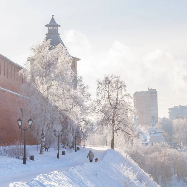Kremlin Bulvarı ve Taynitskaya Kremlin kulede Nizhny Novgor