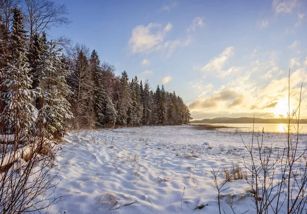 Lake shore with forest edge in winter — Stock Photo, Image