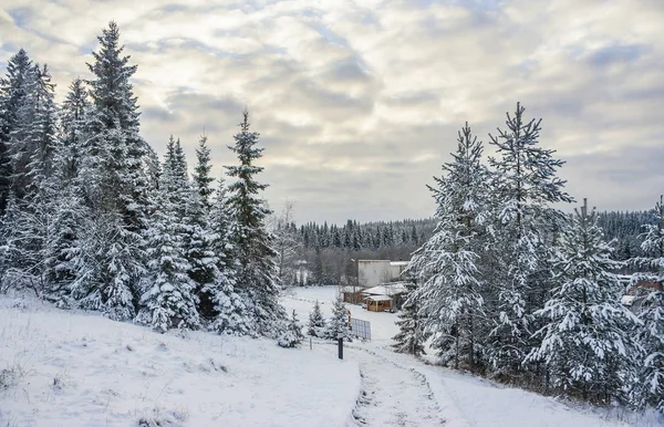 Parque de montaña en invierno, Rusia —  Fotos de Stock