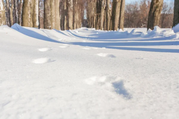 Footprints on a winter track — Stock Image Footprints on a winter track Stock Image