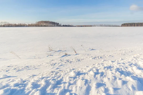 Snow covered field with forest on the horizon — Stock Photo, Image